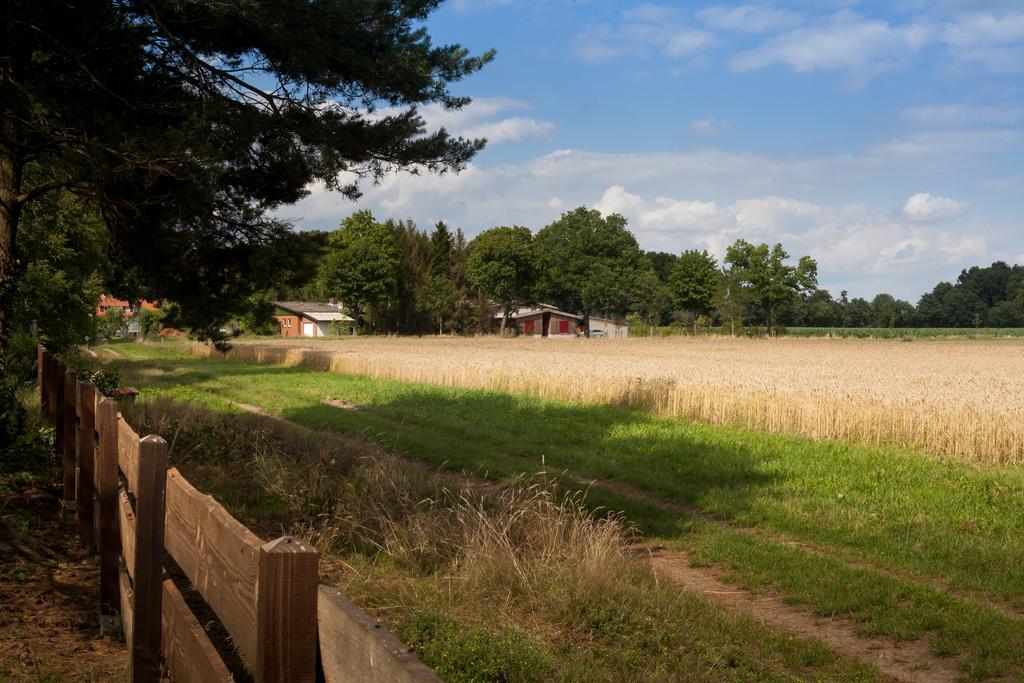 Ferienhaus Heideland Winsen Aller Meißendorf Zimmer foto