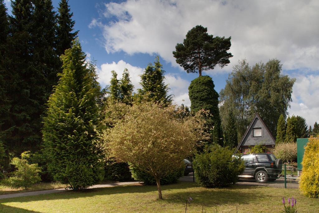 Ferienhaus Heideland Winsen Aller Meißendorf Zimmer foto